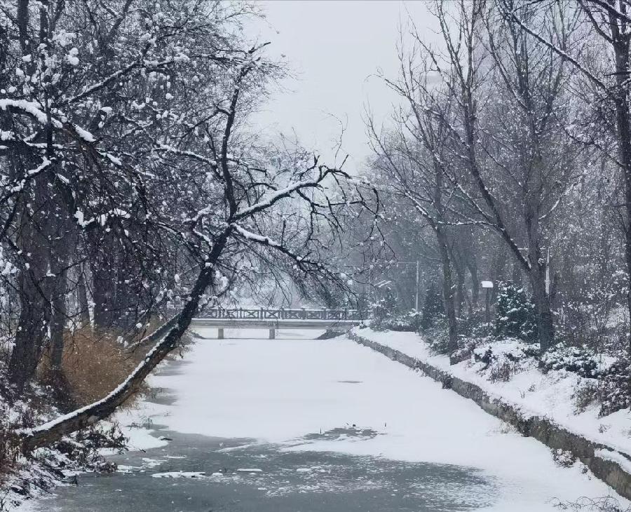 现代诗 孤独的影子文/虞慧（江西）（图3）