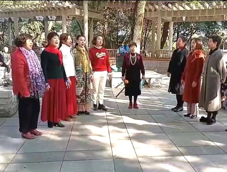 高言阳春力作：赞姐妹歌舞情 浪漫诵读：陈丽娟（图5）