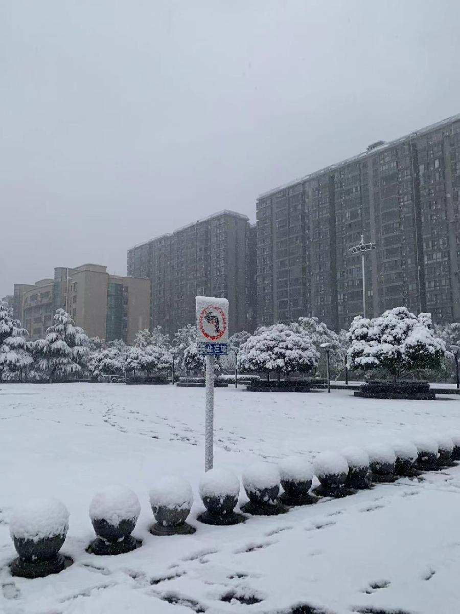 腊月喜雪～诗||谢荣全（图9）