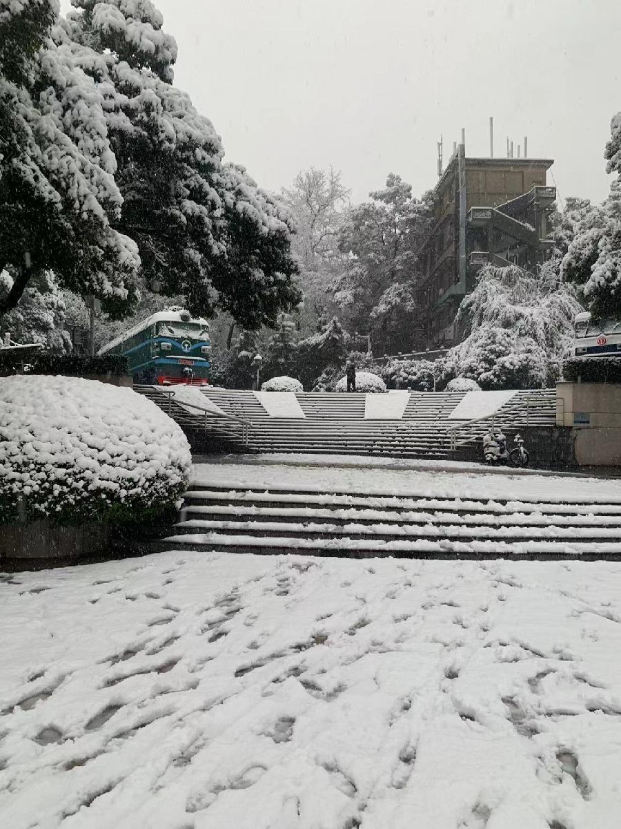 腊月喜雪～诗||谢荣全（图12）