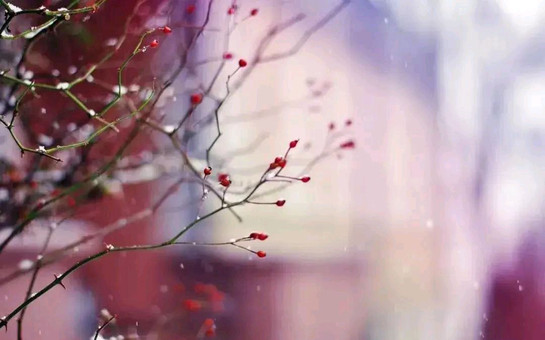 《解不开的相思扣》作者/庆福 主播/沐子 主编/胡琴（图2）