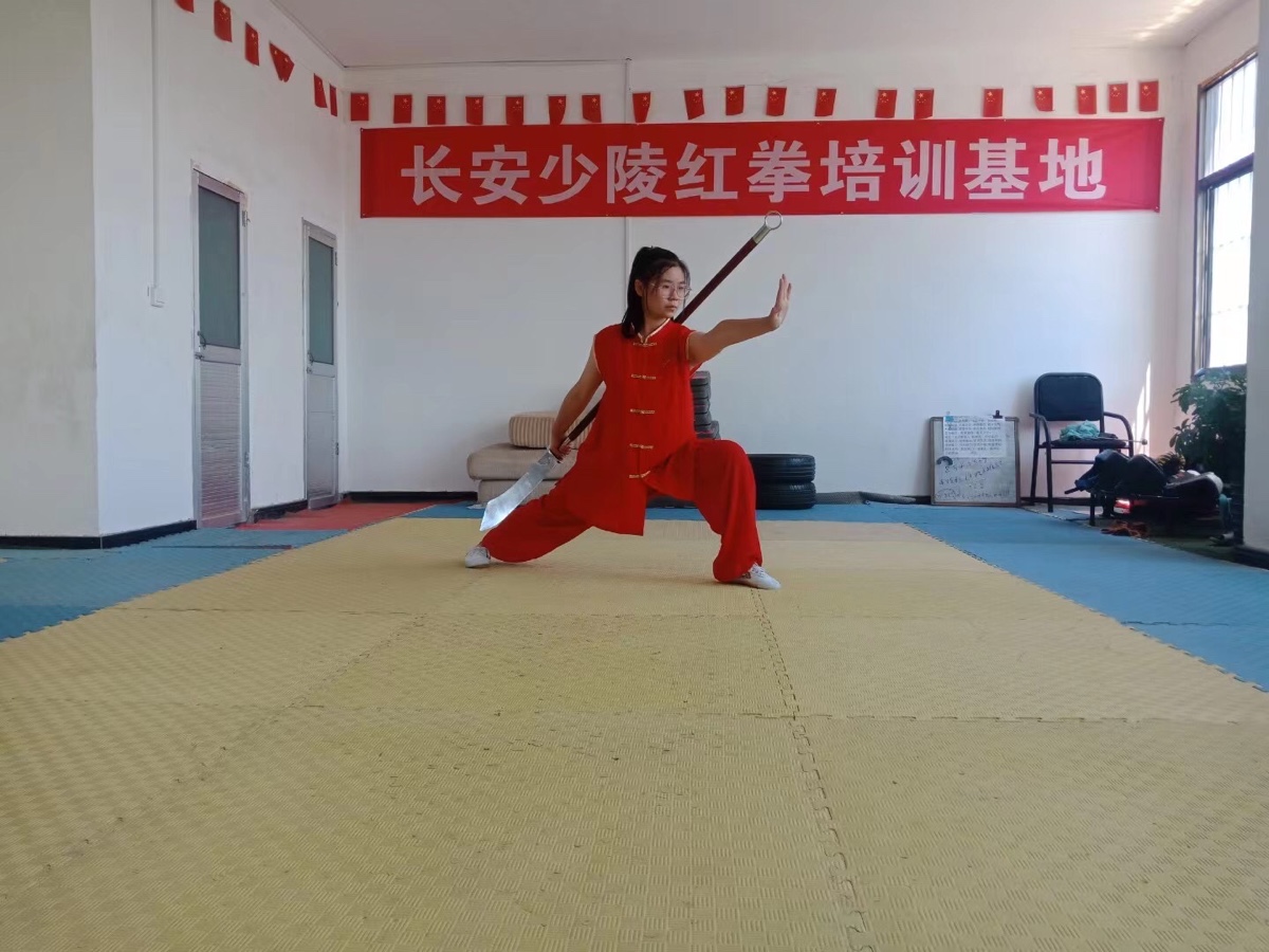 【诗词中国】精品佳作《少陵红拳壮长安》作者:武稳祥(图24)