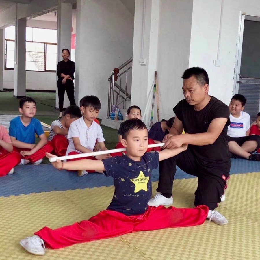 【诗词中国】精品佳作《少陵红拳壮长安》作者:武稳祥(图27)