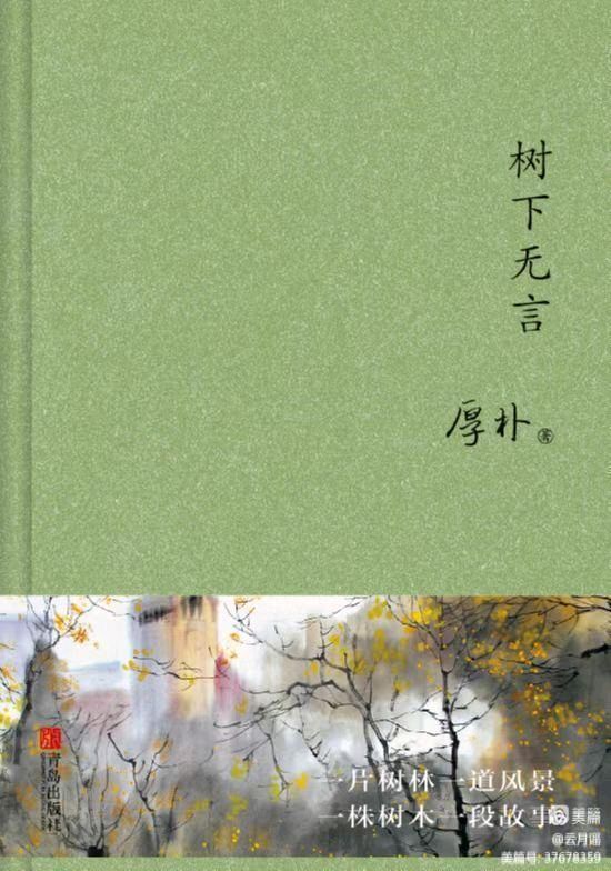 🌳最美生态散文集欣赏🌳《树下无言》厚朴(图9)