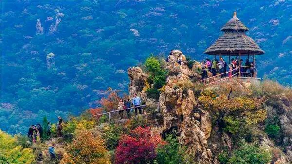 河南许昌：许昌市所有A级旅游对全国大学生推出免费游览活动（图4）