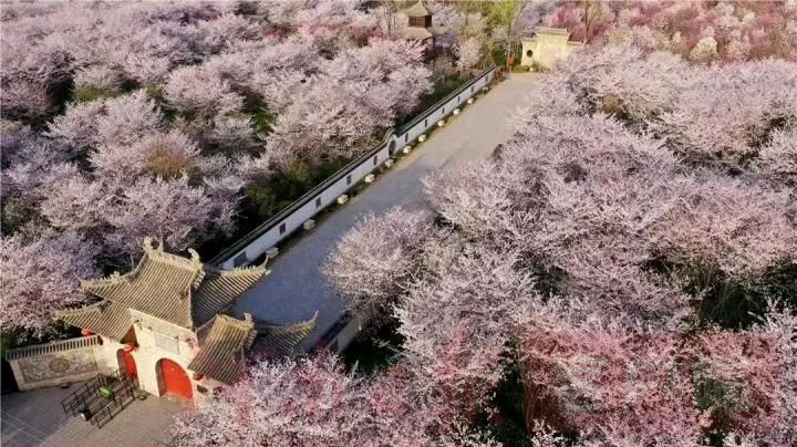 河南许昌：许昌市所有A级旅游对全国大学生推出免费游览活动（图7）