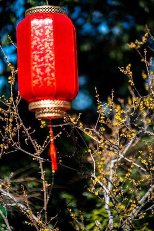 【腊月里的童话】作者:王明雪（雪歌）主播:马艺军【桃源国际诗歌文化传媒】用声音传递温暖以诵读致敬人生♬（图9）