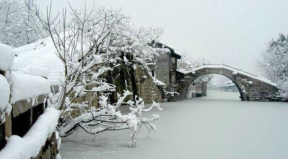 ［南天雪］作者/张有清……莲叶之珠文学社（图3）