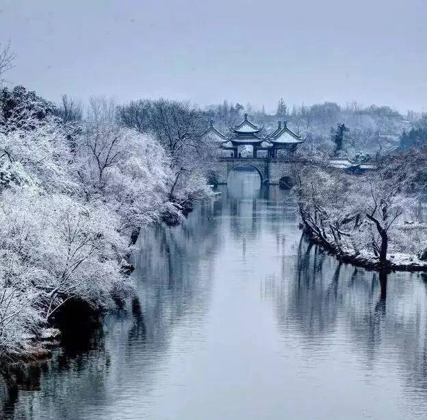 ［南天雪］作者/张有清……莲叶之珠文学社