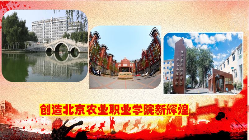 红霞朗诵【致敬最可爱的人】作者/王胜利（图10）