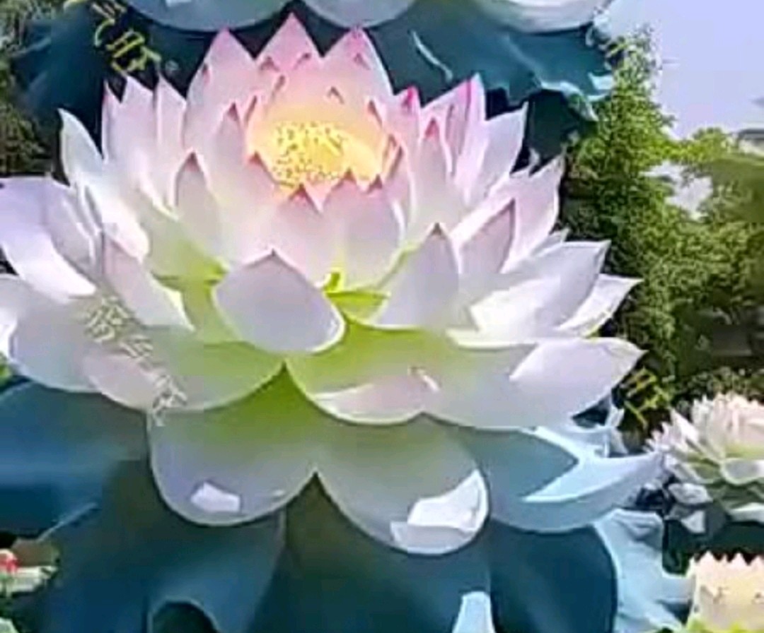 ​名信片 文／李文辉（云南）【冰心文化传媒】（图5）
