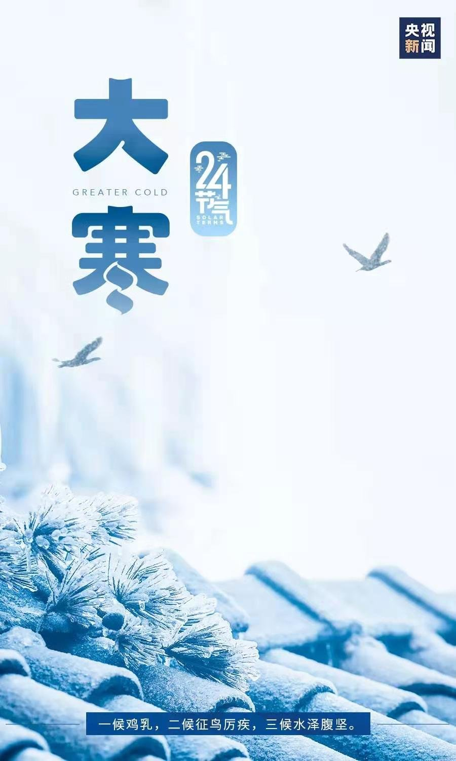 大寒三候~文||旗袍(图8)