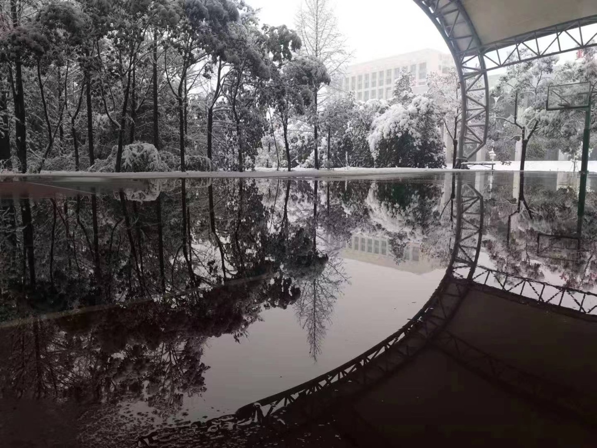 【新诗大观】潇湘雪(和天祥君)||文/王敏||诵/文嘉