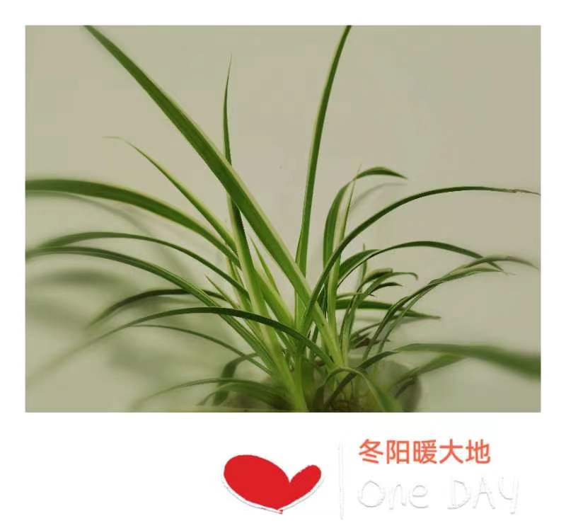 时光不老却有痕|图/文 |蒋卫平(江苏)(图3)