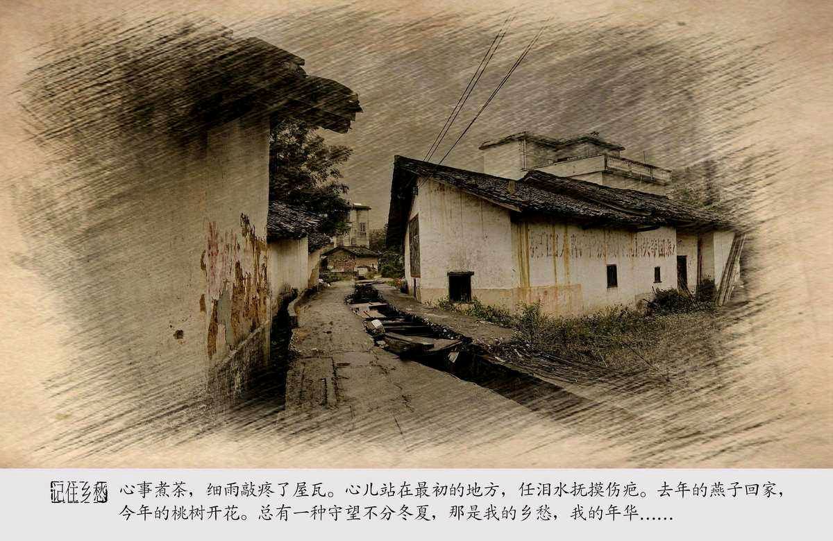 【中国长江文学社】《新疆流浪记组诗四首》作者 王楼 //主播 缈邈//编辑 岁月静好 第7469期（图5）