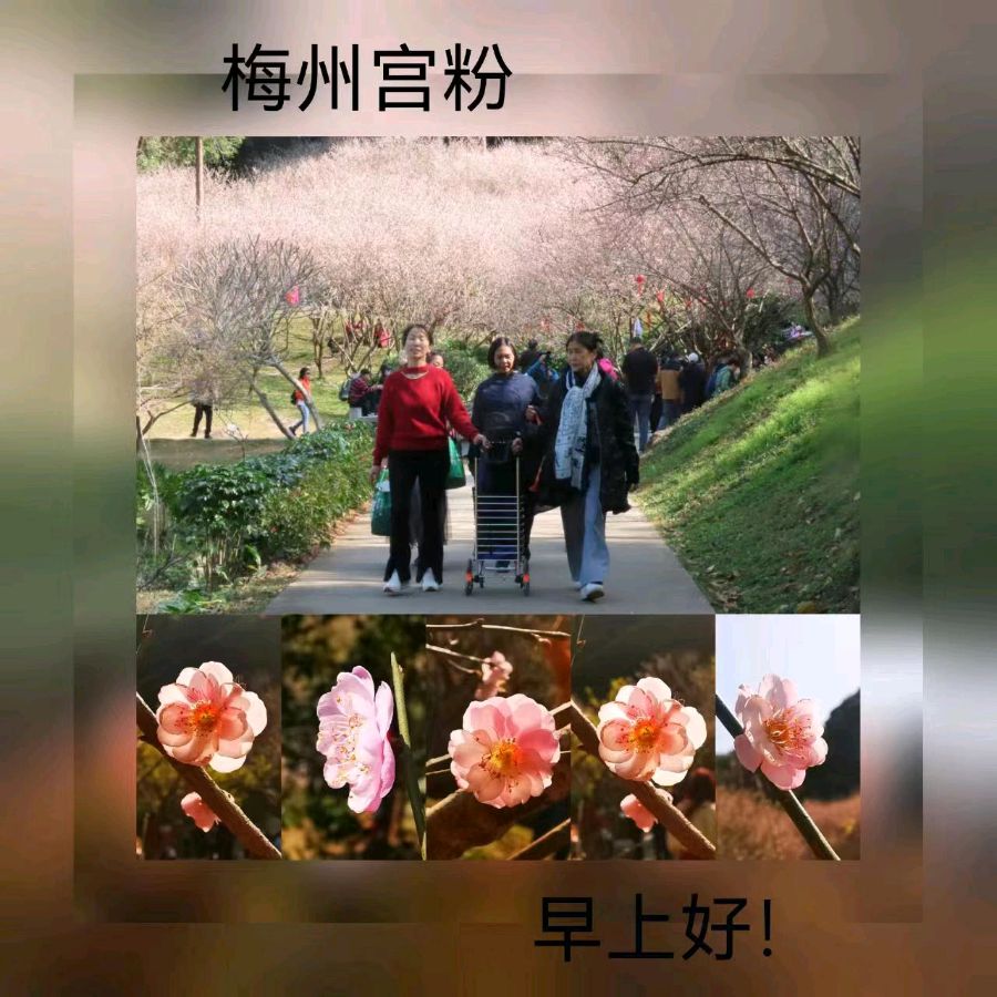 联机全球发布马洪武作品欣赏（图250）