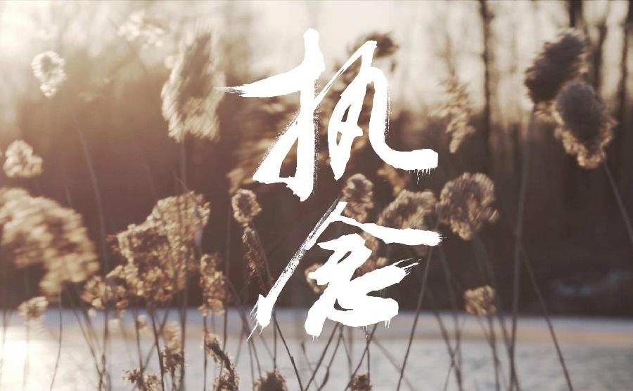 执念的河流~诗||白印良(图10)