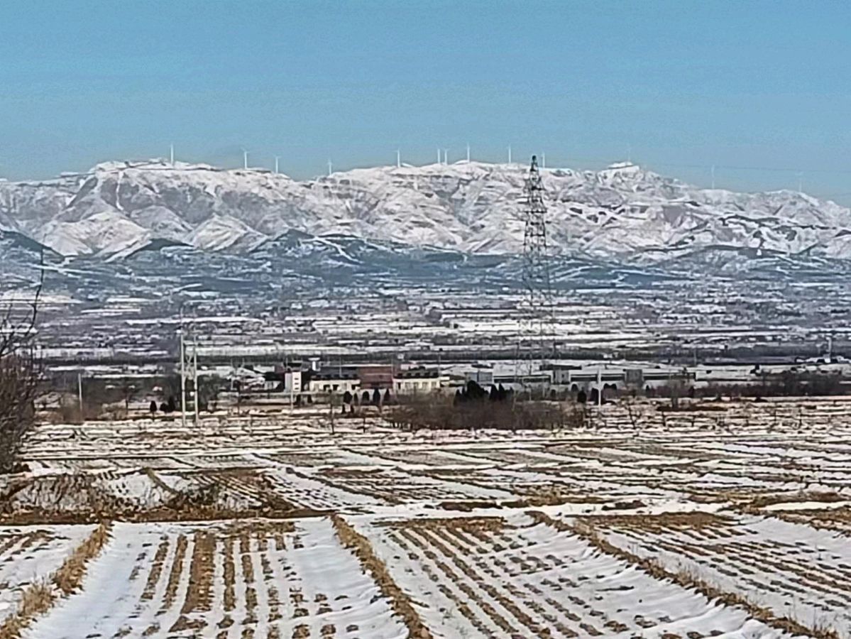 大寒印象