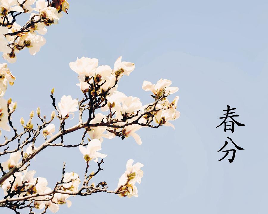 中华诗艺社黑龙江分社推荐/酒工:四季（图7）