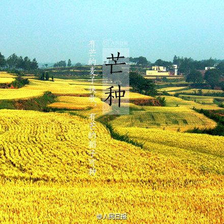 中华诗艺社黑龙江分社推荐/酒工:四季（图12）