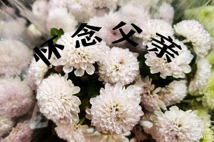 《烧洋芋》外一首‖作者:回泉山人【主播:我还是我】【中国现代诗歌文化传媒】徜徉诗的海洋聆听天籁之音♬（图7）