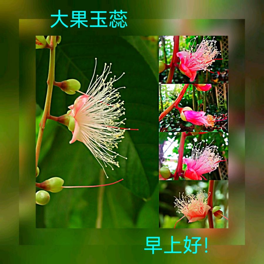 联机全球发布马洪武作品欣赏（图246）