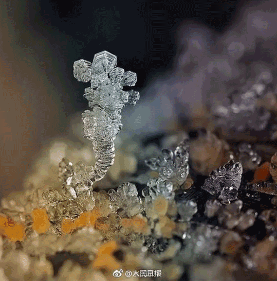 请欣赏五位金牌主播倾情朗诵吕忠泽老师的《组诗五首》编辑//海纳百川【第7484期】（图3）