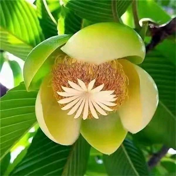 【荣耀中国】曹瑜老师题图诗第114期（图21）