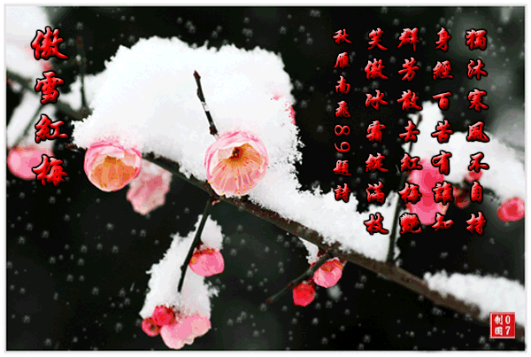 请欣赏王鑫老师的作品《雪梅竹·岁寒聚三友 》 外三首 主播//福音 编辑//海纳百川【第7489期】（图6）