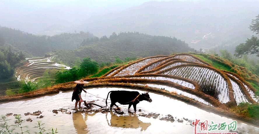 【经典推荐】鲁坡//为觅诗情去远方（图10）