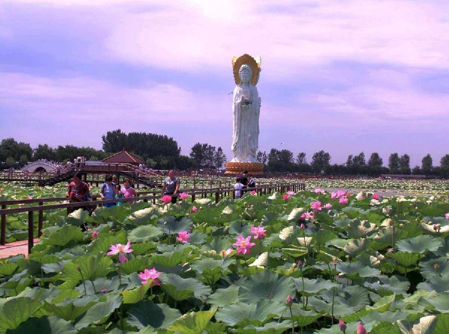 行香子-夏日明珠～词||马文智（图12）