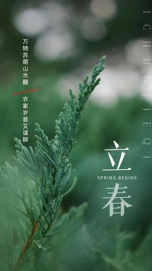 中华诗艺社【黑龙江分社】微刊第319期(图5)