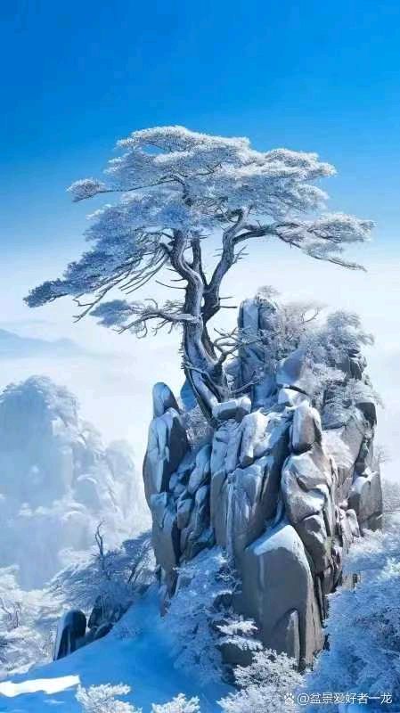 【荣耀中国】阿红诗词歌赋开心群第40期（图7）