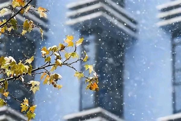 《2024年的第一场雪》作者:叶虻【主播:马艺军】 【桃源国际诗歌文化传媒】用声音传递温暖以诵读致敬人生♬（图6）