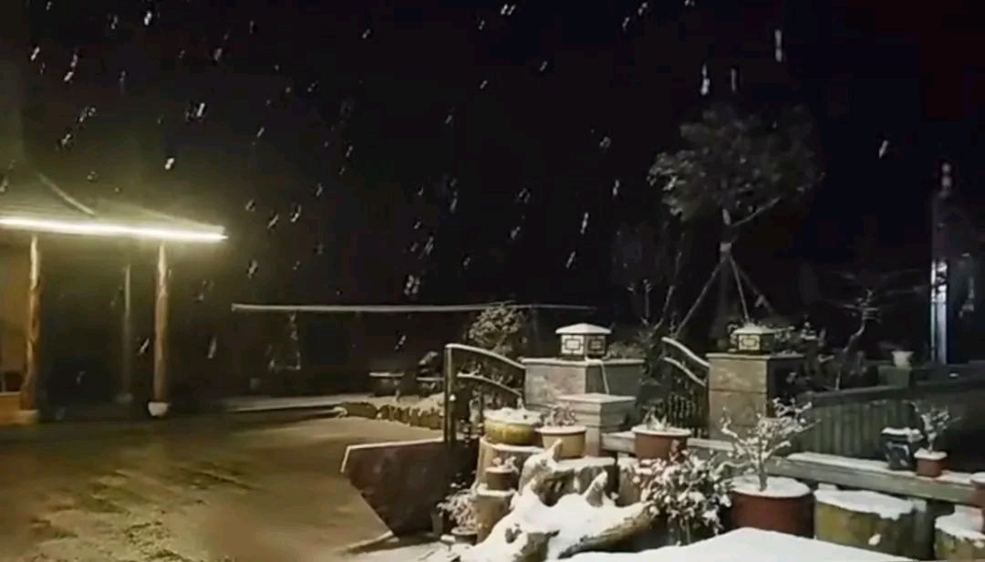 《2024年的第一场雪》作者:叶虻【主播:马艺军】 【桃源国际诗歌文化传媒】用声音传递温暖以诵读致敬人生♬（图7）