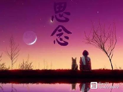 【冬韵感怀】“农民诗人”曹南强//苦菜花[系列作品展]（图9）