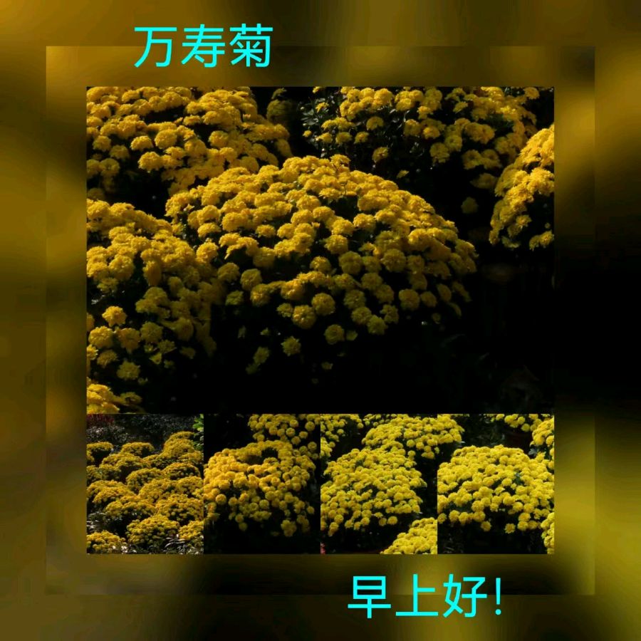 联机全球发布马洪武作品欣赏（图242）
