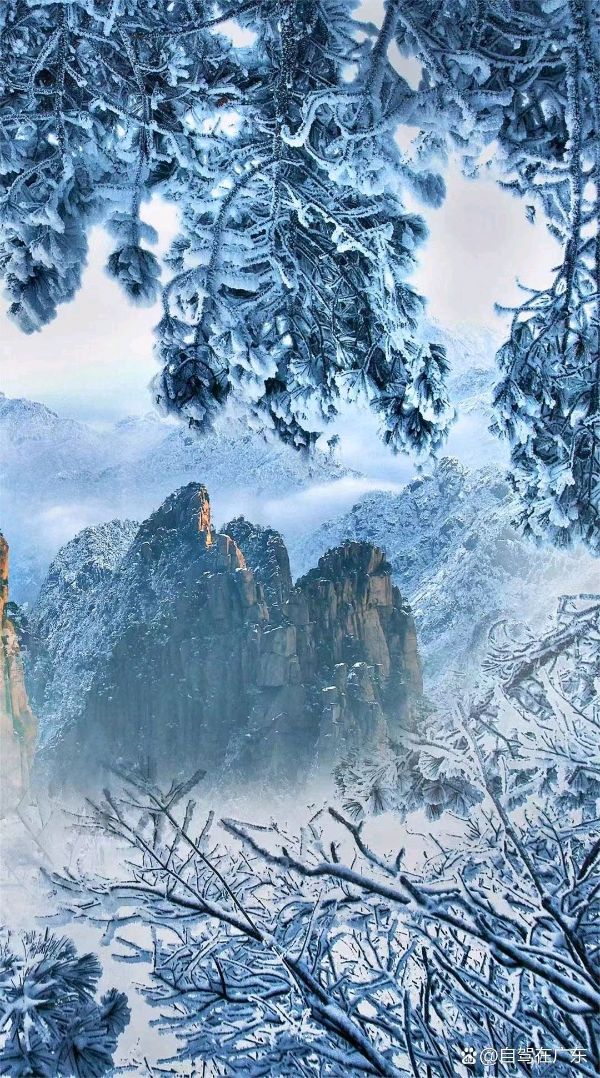 联机全球发布段建平作品欣赏（图13）