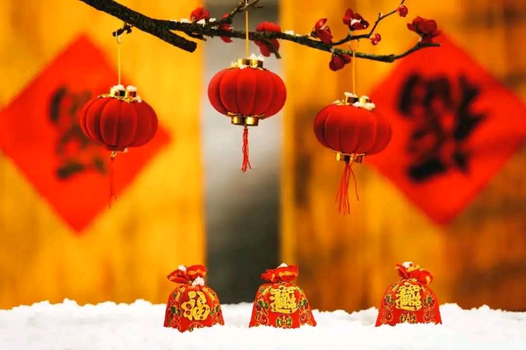 花犯*新年欢歌 金夜（兰州）（图3）
