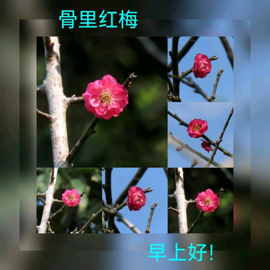 联机全球发布马洪武作品欣赏（图239）
