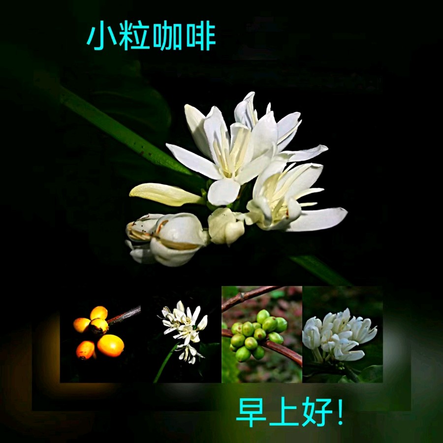 联机全球发布马洪武作品欣赏（图240）