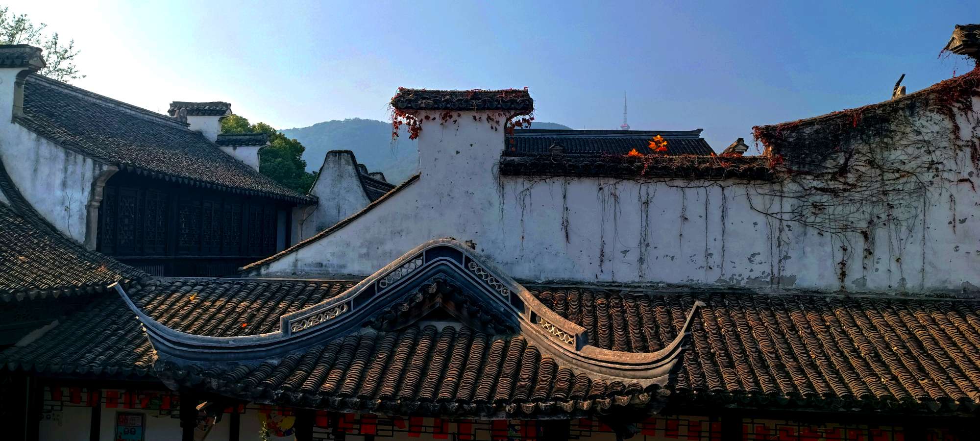 江南的小景(外一首)——文图/秋韵——【黄河诗魂】征稿——都市头条(图5)
