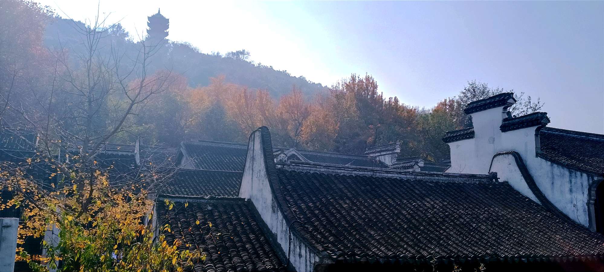 江南的小景(外一首)——文图/秋韵——【黄河诗魂】征稿——都市头条(图6)