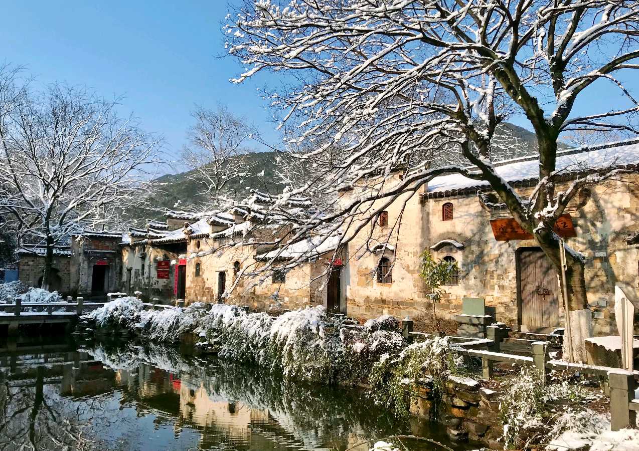 【上海头条】诗生活‖越儿：老地方的雪（外一首）（图4）