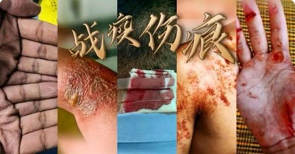 蓝天风《组诗七首》诵读/冬日艳阳 梅竹 立力 青山 紫珏 木子 制作/雨杉【花雨馨声】第560期（图5）
