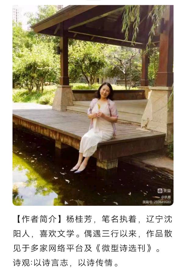 【上海头条】诗生活‖执着微型诗专辑（图2）