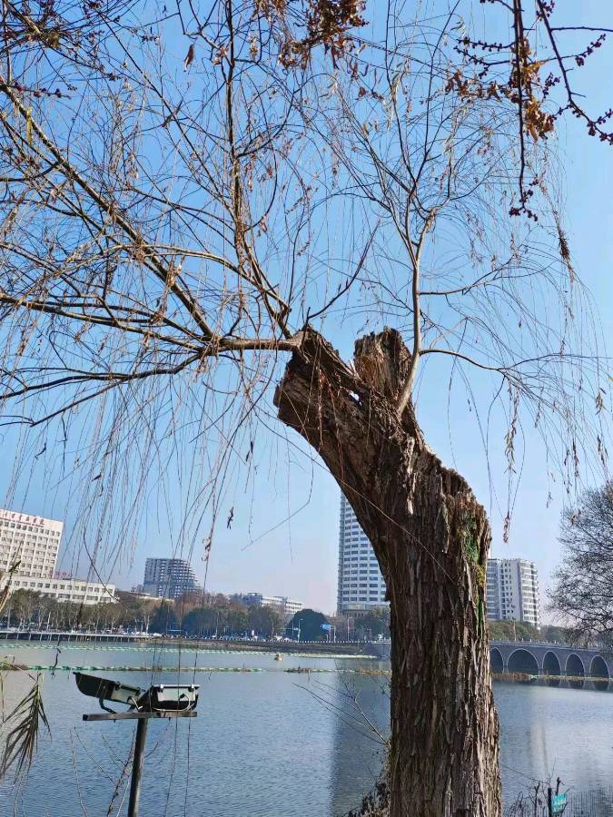 联机全球发布曾凡华作品欣赏（图3）
