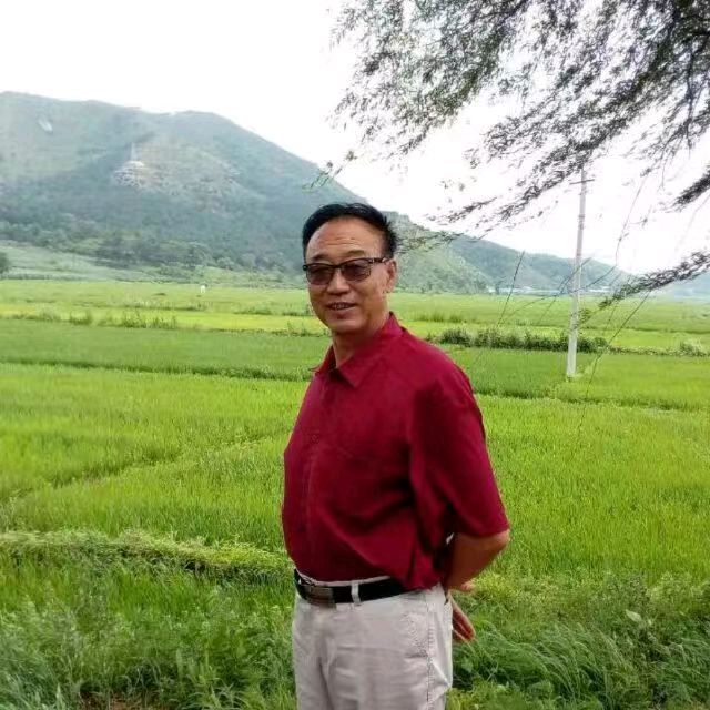 《新年现代诗人合集鉴赏》作者：郭小林、李萍、刘文波、田歌。[中国现代诗歌文化传媒]（图6）