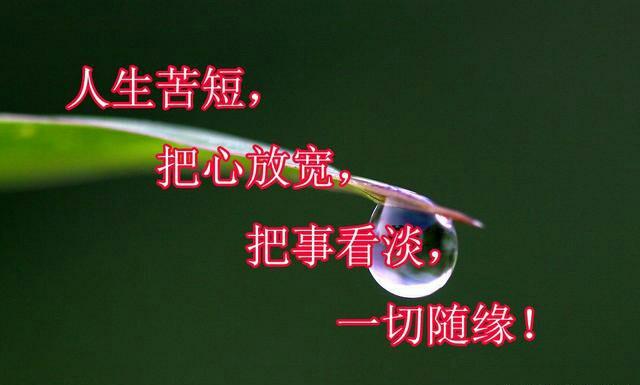【新山东文学社】《人生很短，好好地活》作者/李延庄子 主播/墨兰（图4）