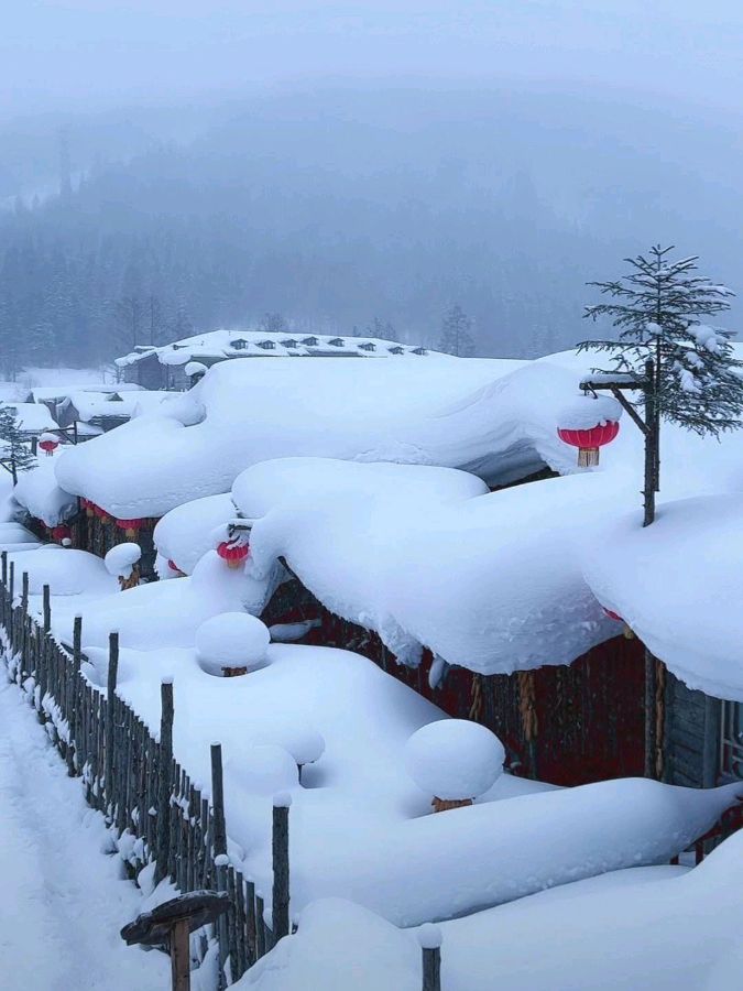 弘华朗诵古韵二首【朝中措*美轮美奂的雪乡‖踏莎行*梦幻雪乡】作者/胡玲玲（图6）